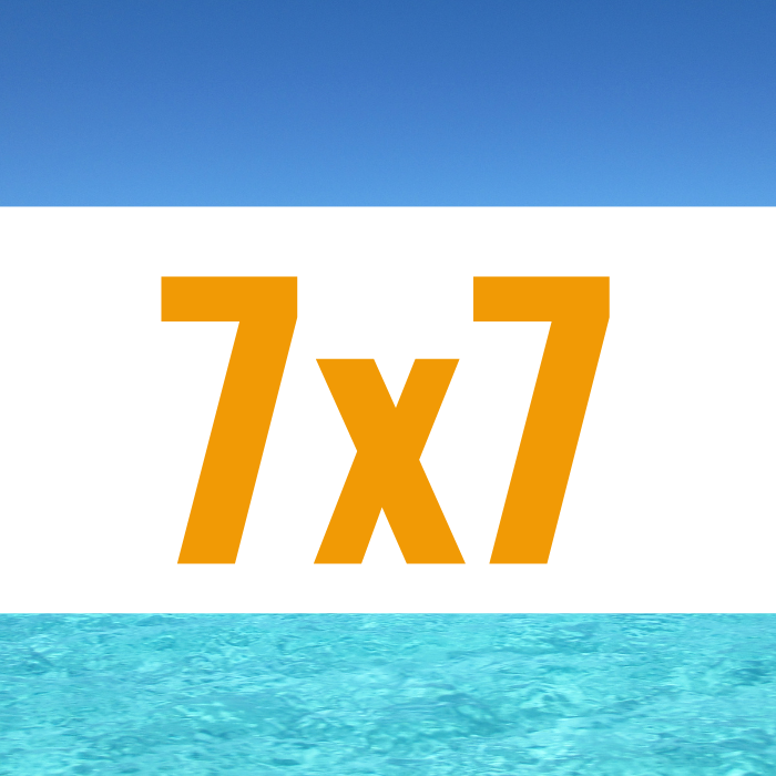 BOLSA PARA ALMACIGO 7X7