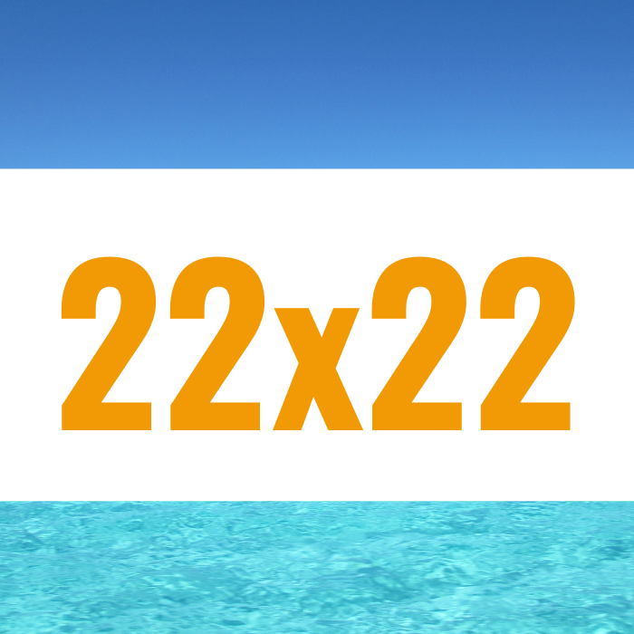 BOLSA PARA ALMACIGO 22X22