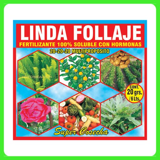 LINDA FOLLAJE X20 GRS