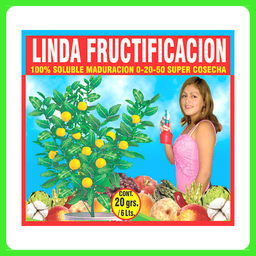 [C006] LINDA FRUCTIFICACION X20 GRS